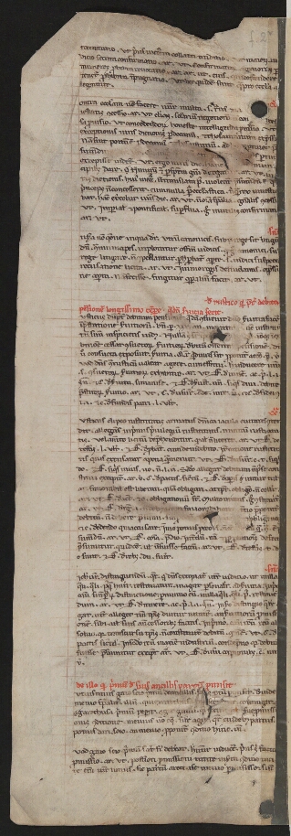 fol. 2v